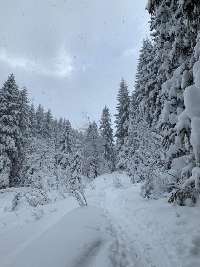 Challet Jasna Exclusive **** Lodge