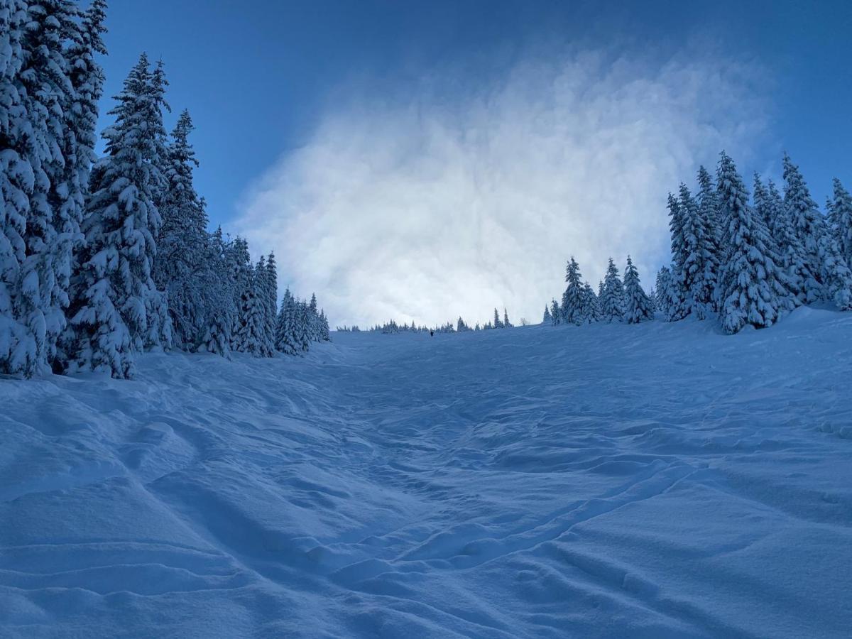 Challet Jasna Exclusive **** Lodge *