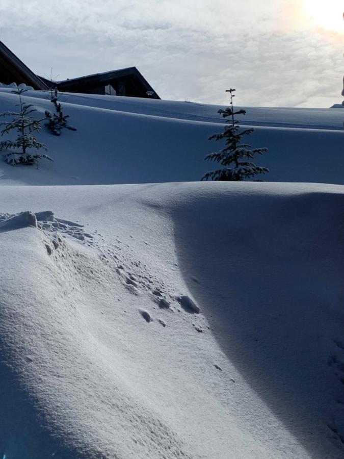 Challet Jasna Exclusive **** Lodge Demanovska Dolina